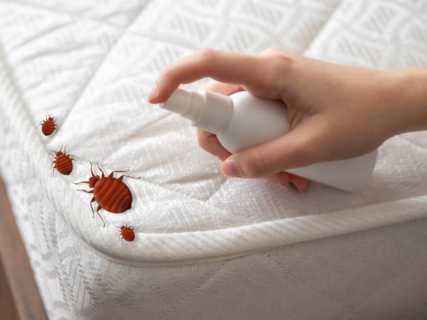 Best Pest Control for Multi-Family Homes  in New Vienna, OH